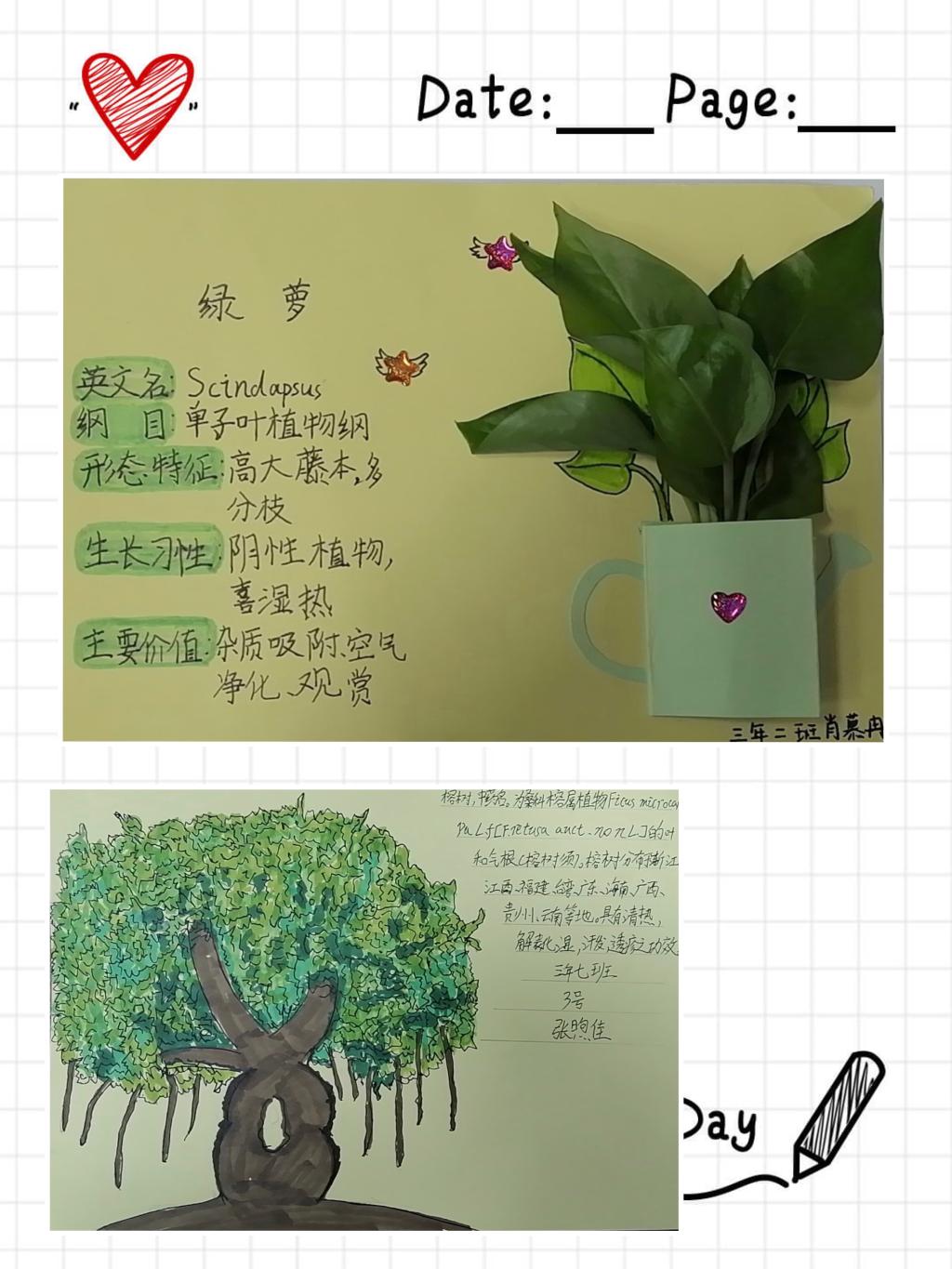 下面,让我们来看看同学们做的植物名片吧!